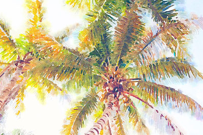 Image Not Available